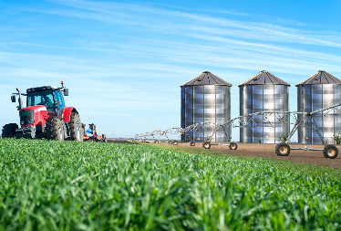 Service Image